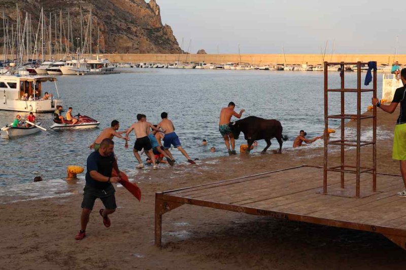 GALERIA de FOTOS del BARET dels BOUS de les FESTES de DUANES de XÀBIA GALERIA de FOTOS del BARET dels BOUS de les FESTES de DUANES de XÀBIA