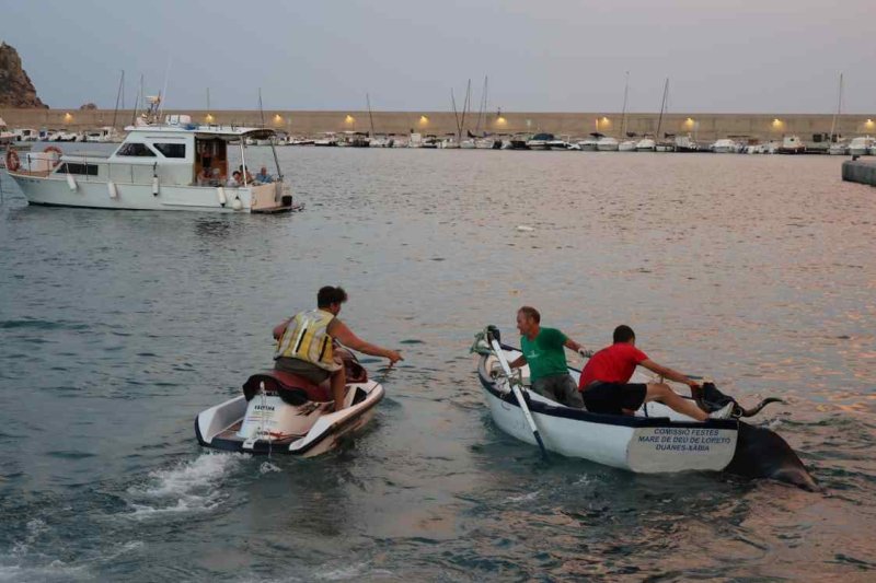 GALERIA de FOTOS del BARET dels BOUS de les FESTES de DUANES de XÀBIA GALERIA de FOTOS del BARET dels BOUS de les FESTES de DUANES de XÀBIA