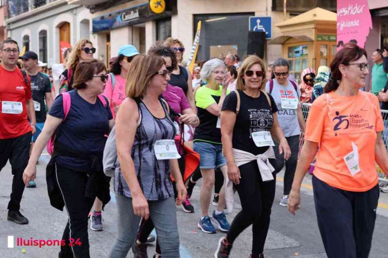 LA MILLOR GALERIA DE FOTOS per a una de les més emblemàtiques proves del Circuit a Peu: la Cursa de Pedreguer LA MILLOR GALERIA DE FOTOS per a una de les més emblemàtiques proves del Circuit a Peu: la Cursa de Pedreguer
