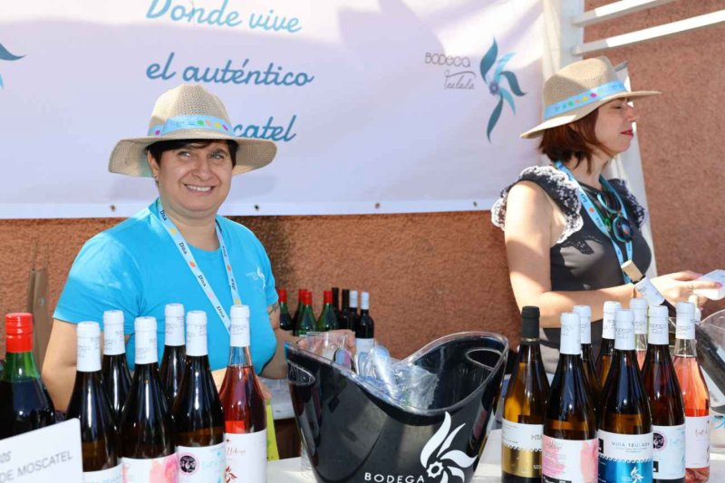 GALERÍA de FOTOS del arranque del D*na FESTIVAL GASTRONÓMICO de DÉNIA GALERÍA de FOTOS del arranque del D*na FESTIVAL GASTRONÓMICO de DÉNIA