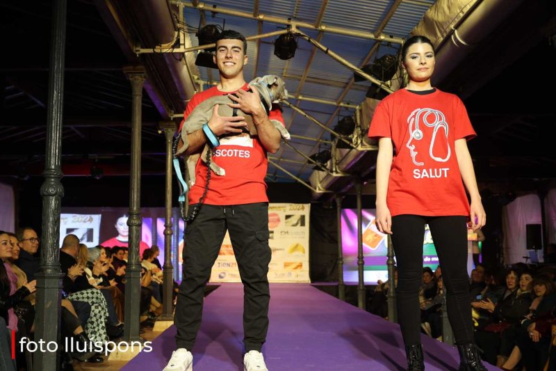 La gran desfilada del Comerç de Pedreguer va més enllà de la moda i complements i innova amb altres sectors La gran desfilada del Comerç de Pedreguer va més enllà de la moda i complements i innova amb altres sectors