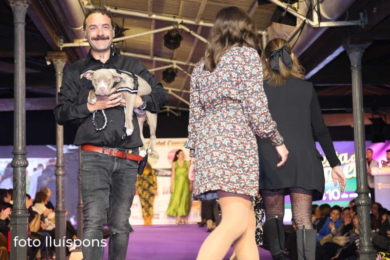 La gran desfilada del Comerç de Pedreguer va més enllà de la moda i complements i innova amb altres sectors La gran desfilada del Comerç de Pedreguer va més enllà de la moda i complements i innova amb altres sectors