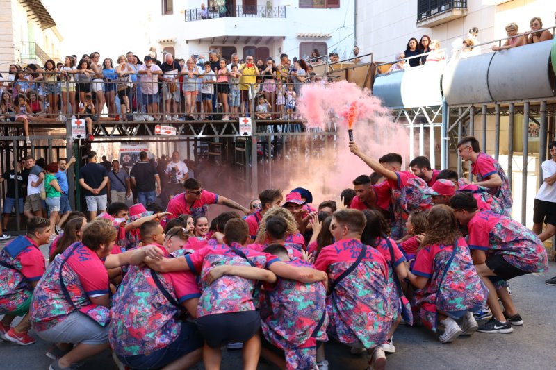 Pedreguer ja vibra amb els bous al carrer Pedreguer ja vibra amb els bous al carrer