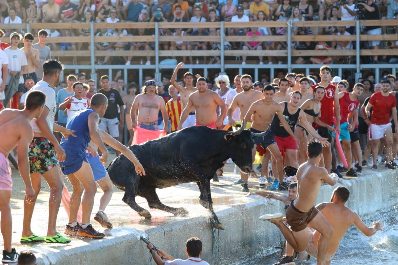 Animada primera jornada de bous a la mar en Dénia Animada primera jornada de bous a la mar en Dénia