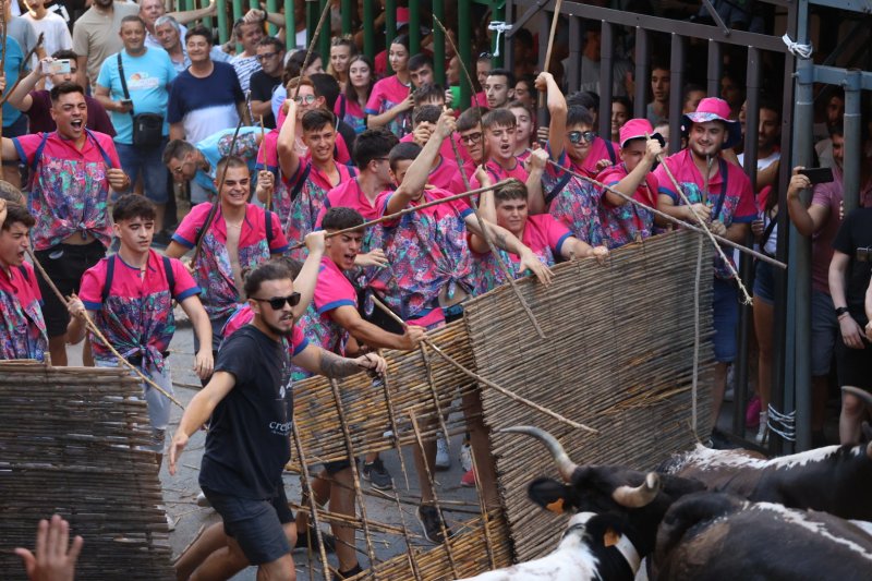 Pedreguer ja vibra amb els bous al carrer Pedreguer ja vibra amb els bous al carrer