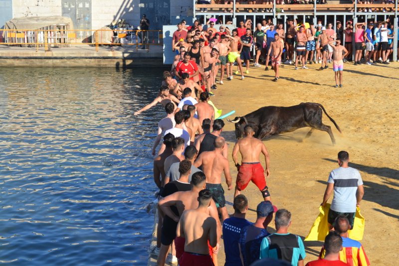 Lleno en la plaza de toros de Dénia y colas para entrar y tener el mejor sitio  Lleno en la plaza de toros de Dénia y colas para entrar y tener el mejor sitio