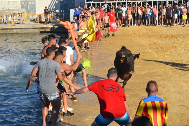 Lleno en la plaza de toros de Dénia y colas para entrar y tener el mejor sitio  Lleno en la plaza de toros de Dénia y colas para entrar y tener el mejor sitio