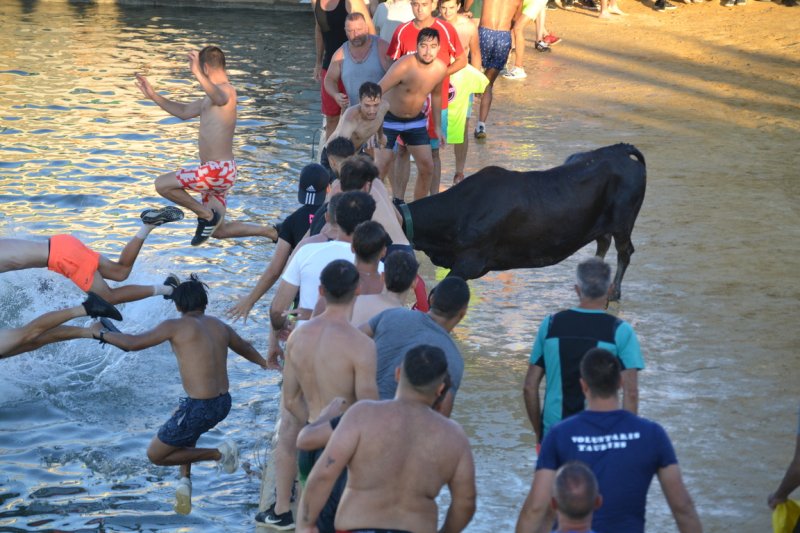 Lleno en la plaza de toros de Dénia y colas para entrar y tener el mejor sitio  Lleno en la plaza de toros de Dénia y colas para entrar y tener el mejor sitio