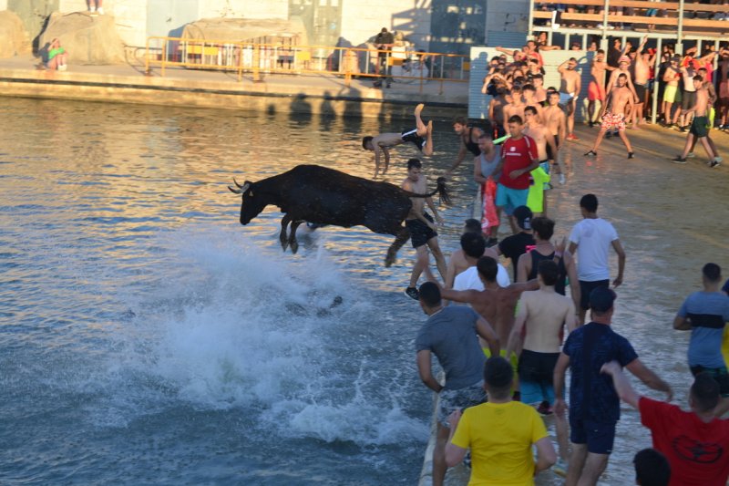 Lleno en la plaza de toros de Dénia y colas para entrar y tener el mejor sitio  Lleno en la plaza de toros de Dénia y colas para entrar y tener el mejor sitio