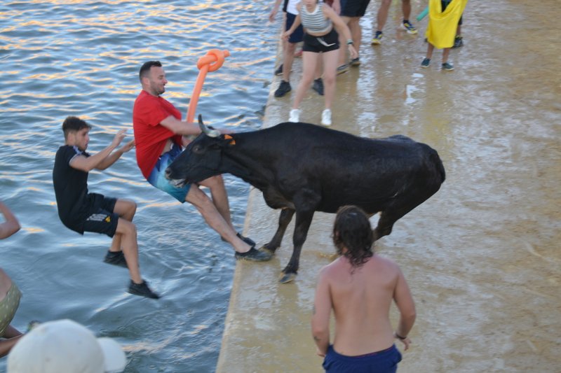 Lleno en la plaza de toros de Dénia y colas para entrar y tener el mejor sitio  Lleno en la plaza de toros de Dénia y colas para entrar y tener el mejor sitio