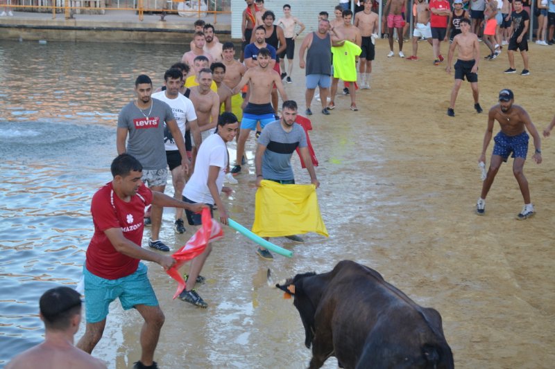 Lleno en la plaza de toros de Dénia y colas para entrar y tener el mejor sitio  Lleno en la plaza de toros de Dénia y colas para entrar y tener el mejor sitio