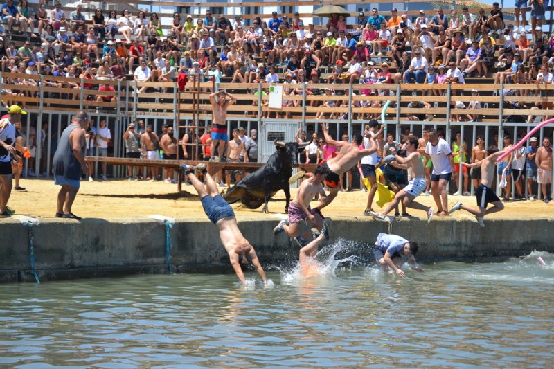 Lleno en la plaza de toros de Dénia y colas para entrar y tener el mejor sitio  Lleno en la plaza de toros de Dénia y colas para entrar y tener el mejor sitio