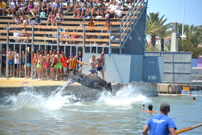 Lleno en la plaza de toros de Dénia y colas para entrar y tener el mejor sitio  Lleno en la plaza de toros de Dénia y colas para entrar y tener el mejor sitio
