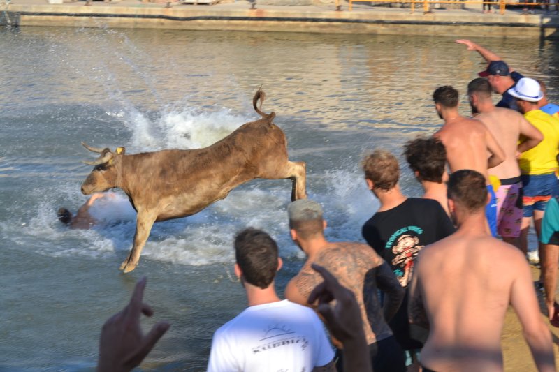 Lleno en la plaza de toros de Dénia y colas para entrar y tener el mejor sitio  Lleno en la plaza de toros de Dénia y colas para entrar y tener el mejor sitio