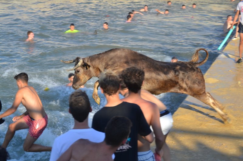 Lleno en la plaza de toros de Dénia y colas para entrar y tener el mejor sitio  Lleno en la plaza de toros de Dénia y colas para entrar y tener el mejor sitio