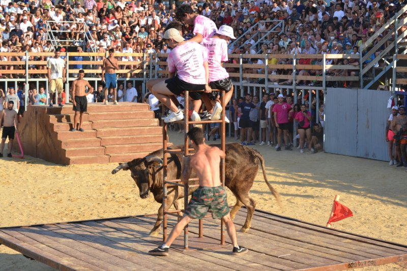 Lleno en la plaza de toros de Dénia y colas para entrar y tener el mejor sitio  Lleno en la plaza de toros de Dénia y colas para entrar y tener el mejor sitio