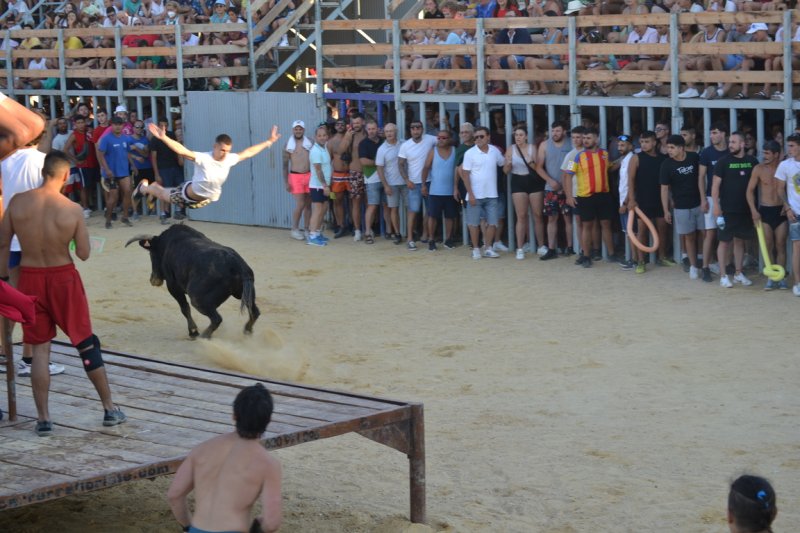 Lleno en la plaza de toros de Dénia y colas para entrar y tener el mejor sitio  Lleno en la plaza de toros de Dénia y colas para entrar y tener el mejor sitio