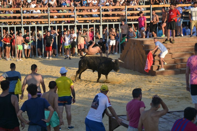 Lleno en la plaza de toros de Dénia y colas para entrar y tener el mejor sitio  Lleno en la plaza de toros de Dénia y colas para entrar y tener el mejor sitio