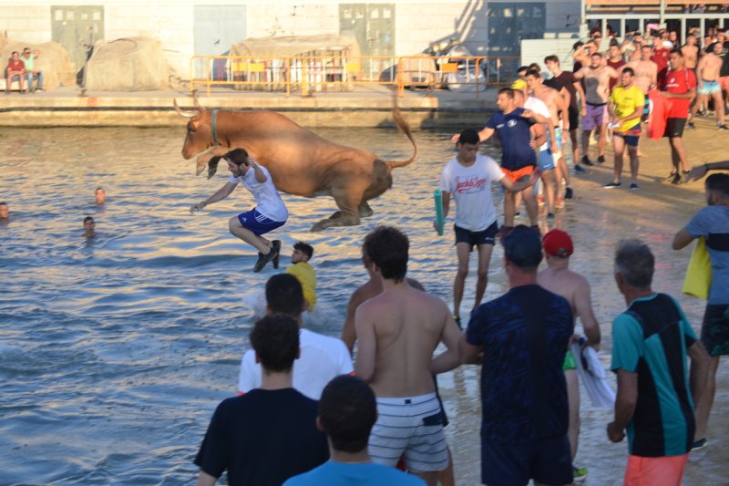 Lleno en la plaza de toros de Dénia y colas para entrar y tener el mejor sitio  Lleno en la plaza de toros de Dénia y colas para entrar y tener el mejor sitio