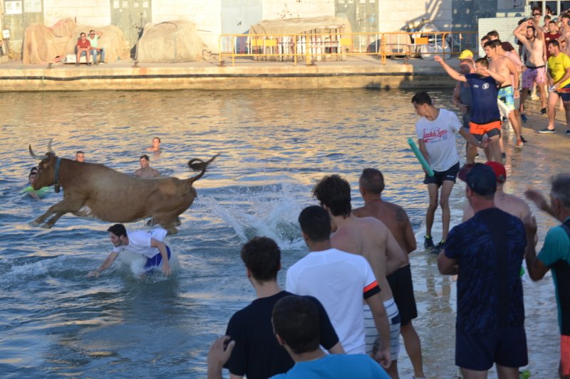 Lleno en la plaza de toros de Dénia y colas para entrar y tener el mejor sitio  Lleno en la plaza de toros de Dénia y colas para entrar y tener el mejor sitio