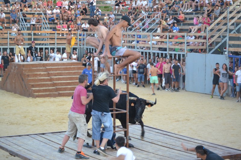 Lleno en la plaza de toros de Dénia y colas para entrar y tener el mejor sitio  Lleno en la plaza de toros de Dénia y colas para entrar y tener el mejor sitio
