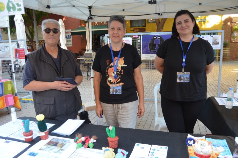 Fira d'Associacions de Dénia: Todos quieren ayudar a la sociedad  Fira d'Associacions de Dénia: Todos quieren ayudar a la sociedad