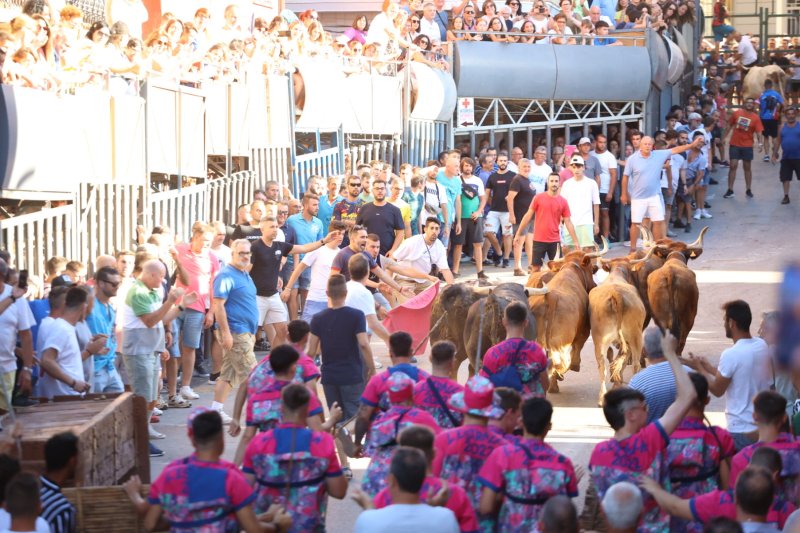 Pedreguer ja vibra amb els bous al carrer Pedreguer ja vibra amb els bous al carrer