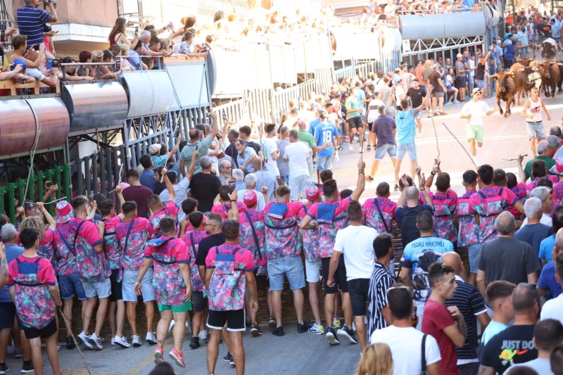 Pedreguer ja vibra amb els bous al carrer Pedreguer ja vibra amb els bous al carrer