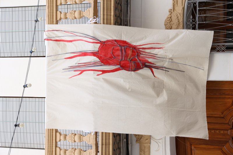 Art al Vent ja llueix els més de mig centenar de cobertors al Carrer La Bassa de Gata Art al Vent ja llueix els més de mig centenar de cobertors al Carrer La Bassa de Gata