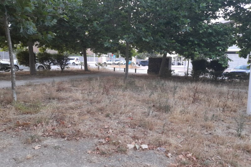 El PP de Xàbia critica el “lamentable” aspecto que ofrece la playa del Arenal en plena campaña estival El PP de Xàbia critica el “lamentable” aspecto que ofrece la playa del Arenal en plena campaña estival