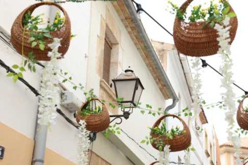 El Carrer Sant Pere Martir és el millor engalanat de Fogueres El Carrer Sant Pere Martir és el millor engalanat de Fogueres