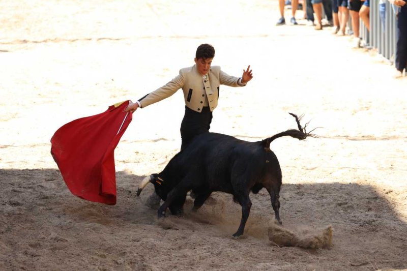 Pedreguer, catedral dels bous al carrer i bressol de toreros i retalladors  Pedreguer, catedral dels bous al carrer i bressol de toreros i retalladors