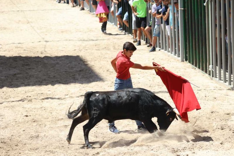 Pedreguer, catedral dels bous al carrer i bressol de toreros i retalladors  Pedreguer, catedral dels bous al carrer i bressol de toreros i retalladors