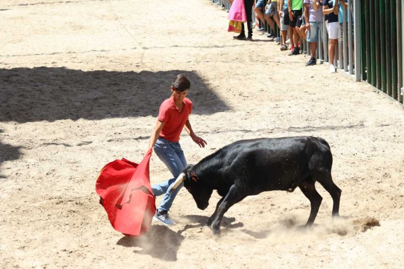 Pedreguer, catedral dels bous al carrer i bressol de toreros i retalladors  Pedreguer, catedral dels bous al carrer i bressol de toreros i retalladors