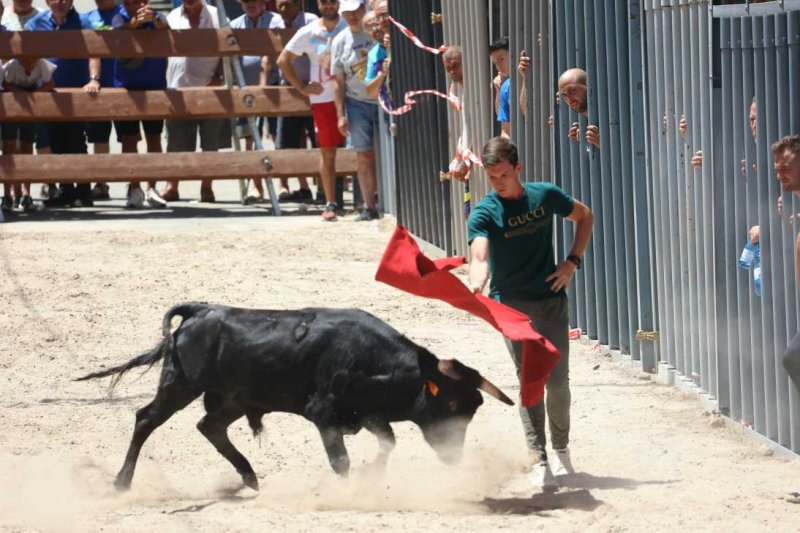 Pedreguer, catedral dels bous al carrer i bressol de toreros i retalladors  Pedreguer, catedral dels bous al carrer i bressol de toreros i retalladors