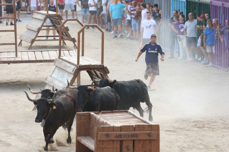 Els bous al carrer i el baret de Fogueres de Xàbia retornen amb molta força Els bous al carrer i el baret de Fogueres de Xàbia retornen amb molta força