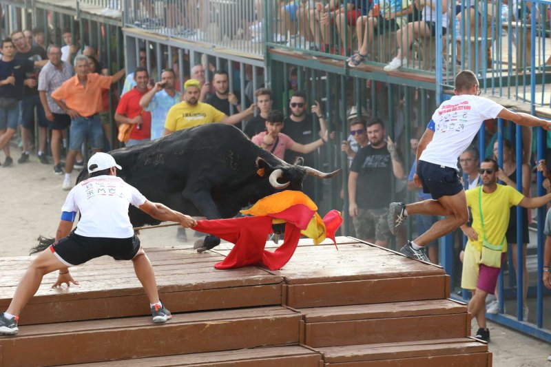 Els bous al carrer i el baret de Fogueres de Xàbia retornen amb molta força Els bous al carrer i el baret de Fogueres de Xàbia retornen amb molta força