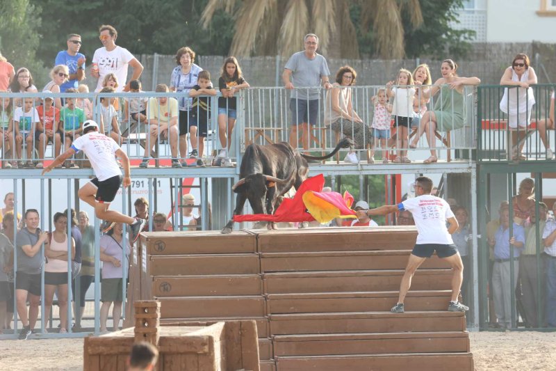 Els bous al carrer i el baret de Fogueres de Xàbia retornen amb molta força Els bous al carrer i el baret de Fogueres de Xàbia retornen amb molta força