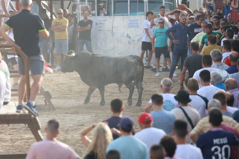 Sevillano passa per Xàbia amb més pena que glòria, però Machancoses arregla l’última vesprada de bous al carrer de Fogueres Sevillano passa per Xàbia amb més pena que glòria, però Machancoses arregla l’última vesprada de bous al carrer de Fogueres