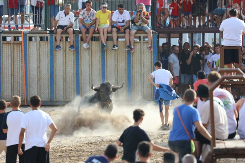 Sevillano passa per Xàbia amb més pena que glòria, però Machancoses arregla l’última vesprada de bous al carrer de Fogueres Sevillano passa per Xàbia amb més pena que glòria, però Machancoses arregla l’última vesprada de bous al carrer de Fogueres