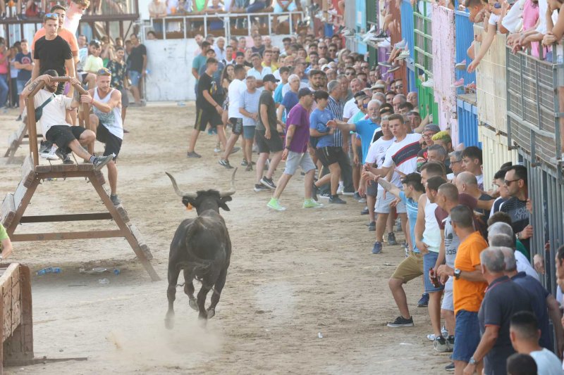 Sevillano passa per Xàbia amb més pena que glòria, però Machancoses arregla l’última vesprada de bous al carrer de Fogueres Sevillano passa per Xàbia amb més pena que glòria, però Machancoses arregla l’última vesprada de bous al carrer de Fogueres