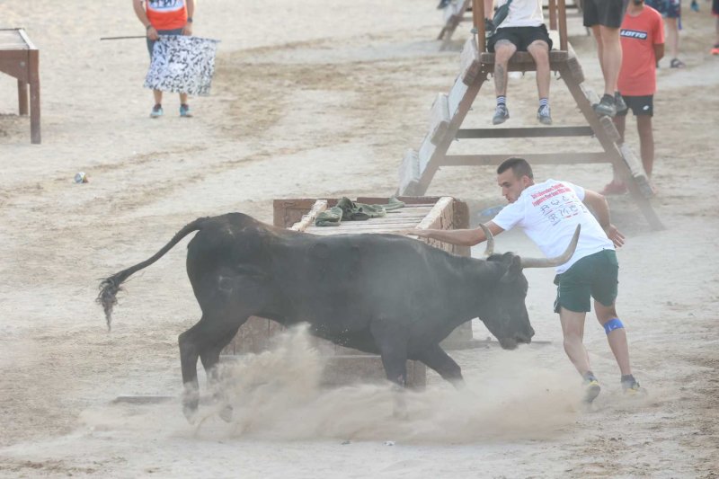 Sevillano passa per Xàbia amb més pena que glòria, però Machancoses arregla l’última vesprada de bous al carrer de Fogueres Sevillano passa per Xàbia amb més pena que glòria, però Machancoses arregla l’última vesprada de bous al carrer de Fogueres