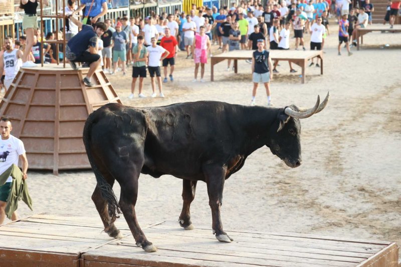 Sevillano passa per Xàbia amb més pena que glòria, però Machancoses arregla l’última vesprada de bous al carrer de Fogueres Sevillano passa per Xàbia amb més pena que glòria, però Machancoses arregla l’última vesprada de bous al carrer de Fogueres
