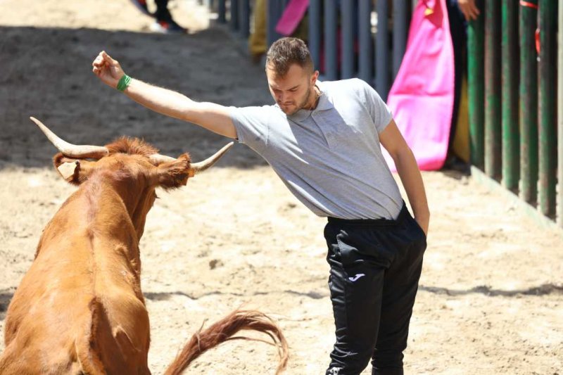 Pedreguer, catedral dels bous al carrer i bressol de toreros i retalladors  Pedreguer, catedral dels bous al carrer i bressol de toreros i retalladors