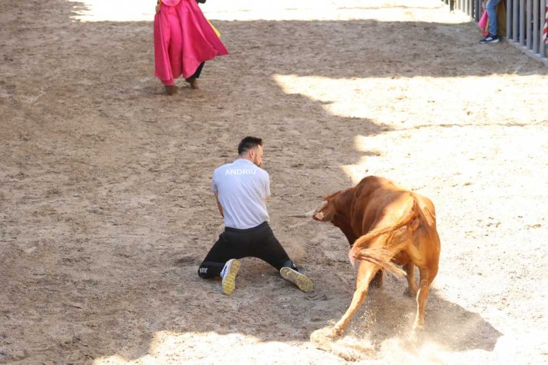 Pedreguer, catedral dels bous al carrer i bressol de toreros i retalladors  Pedreguer, catedral dels bous al carrer i bressol de toreros i retalladors