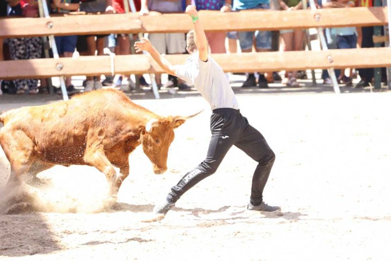 Pedreguer, catedral dels bous al carrer i bressol de toreros i retalladors  Pedreguer, catedral dels bous al carrer i bressol de toreros i retalladors