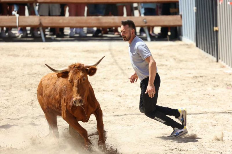 Pedreguer, catedral dels bous al carrer i bressol de toreros i retalladors  Pedreguer, catedral dels bous al carrer i bressol de toreros i retalladors