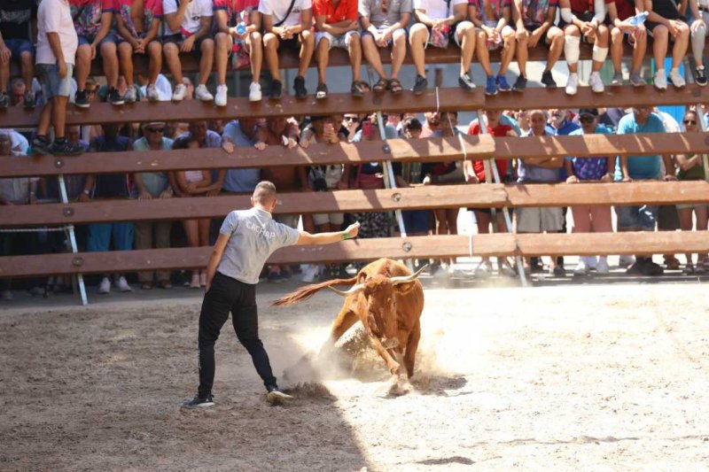Pedreguer, catedral dels bous al carrer i bressol de toreros i retalladors  Pedreguer, catedral dels bous al carrer i bressol de toreros i retalladors