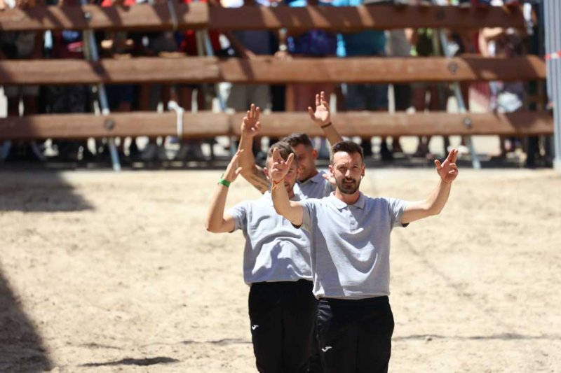 Pedreguer, catedral dels bous al carrer i bressol de toreros i retalladors  Pedreguer, catedral dels bous al carrer i bressol de toreros i retalladors