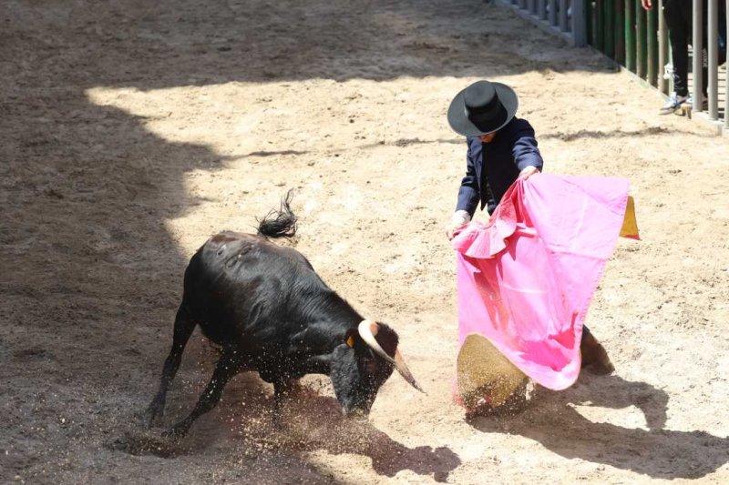 Pedreguer, catedral dels bous al carrer i bressol de toreros i retalladors  Pedreguer, catedral dels bous al carrer i bressol de toreros i retalladors